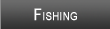 Lake Blackshear Fishing